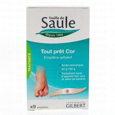 FEUILLE DE SAULE Tout prêt cor 40 g/100 g