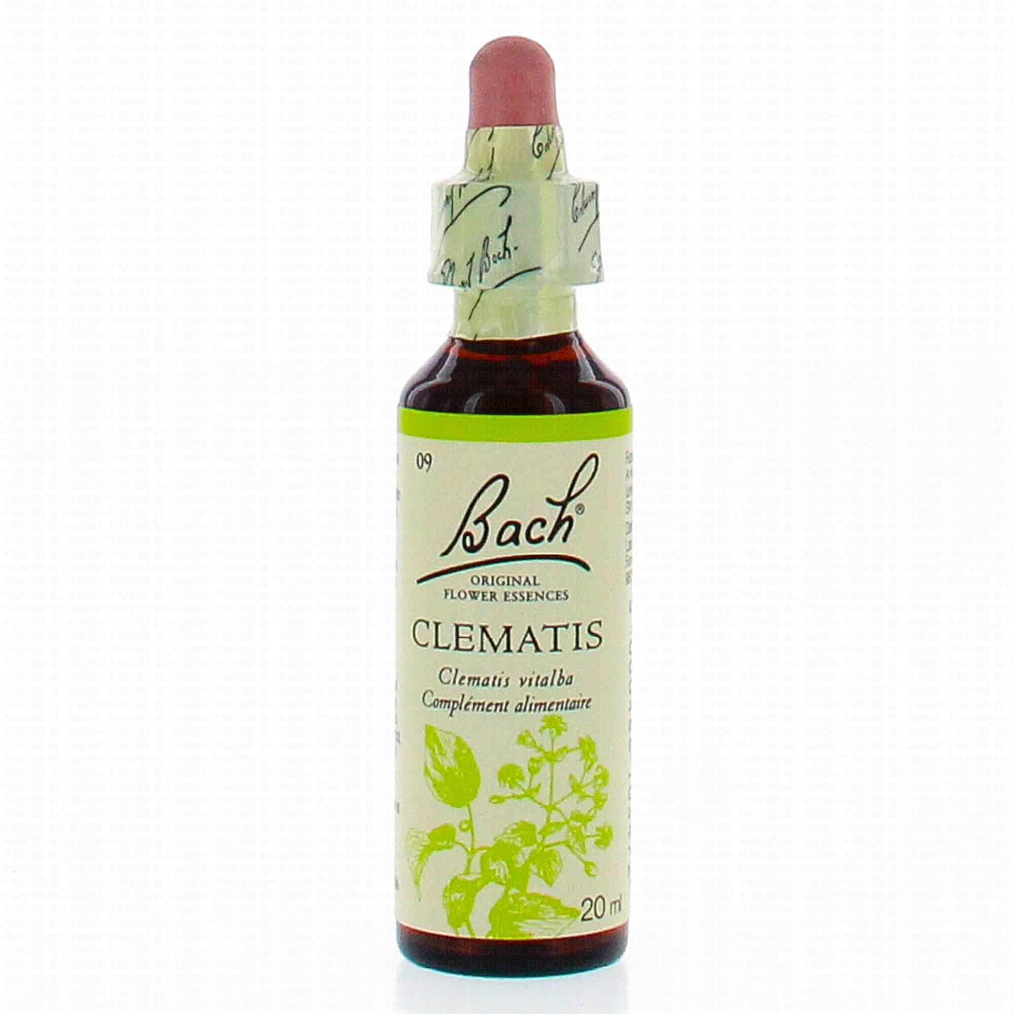 Fleurs De Bach Original N 09 Clematis Fleur De Bach Flacon Compte Gouttes 20ml Pharmacie En Ligne Prado Mermoz