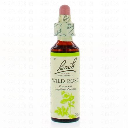 FLEUR DE BACH Original n&deg;37 Wild rose fleur de bach flacon compte-gouttes 20ml