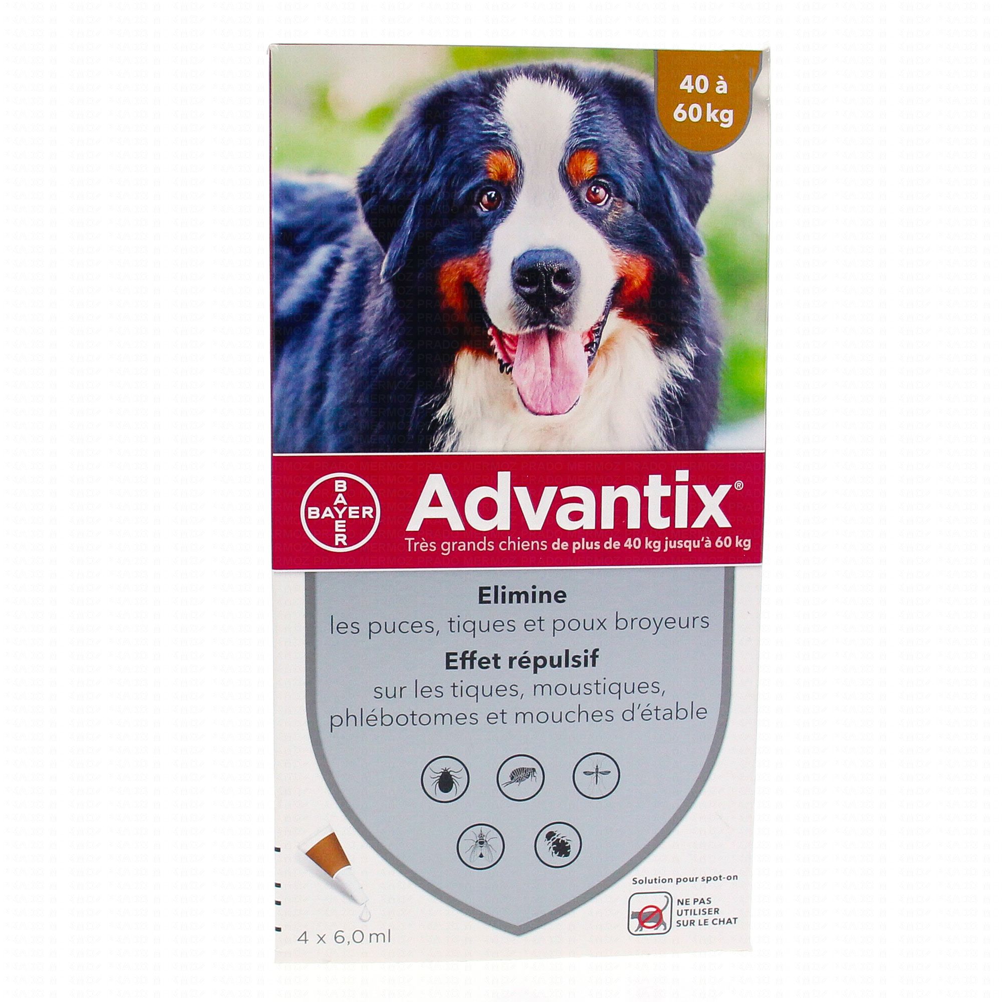advantix-antiarpasitaire-grands-chiens-pipettes-4-x-6ml-pharmacie-en