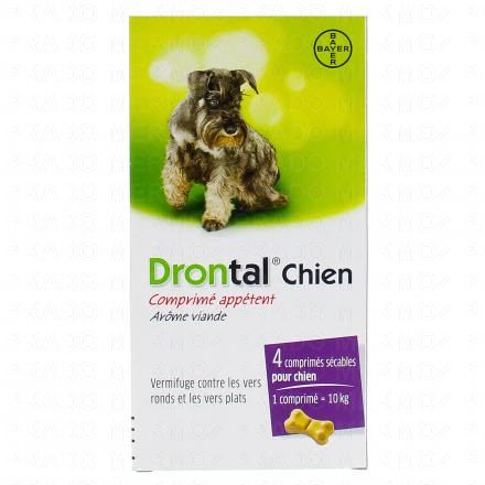 DRONTAL chien comprimés appétents (boîte de 4 comprimés)