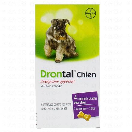 DRONTAL Chien - comprimés appétents (boîte de 4 comprimés)
