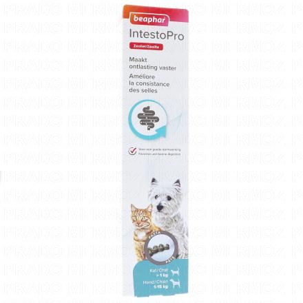 BEAPHAR IntestoPro - Pâte (chat et petit chien (< 15 kg) 20ml)