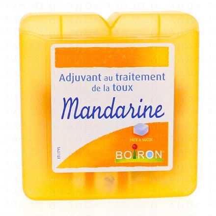 BOIRON Mandarine pâte à sucer boîte de 60g