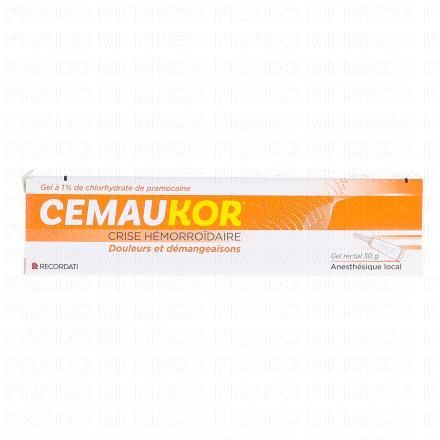 CEMAUKOR Crise H&eacute;morro&iuml;daire 1% Gel Rectal 30g