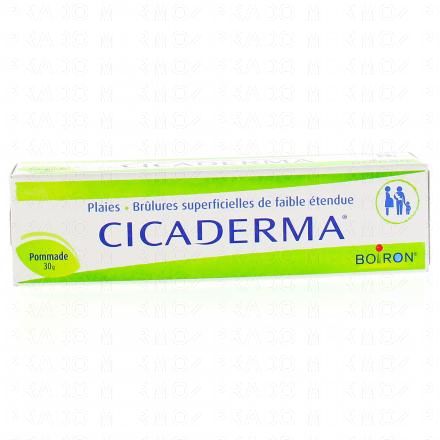 Cicaderma