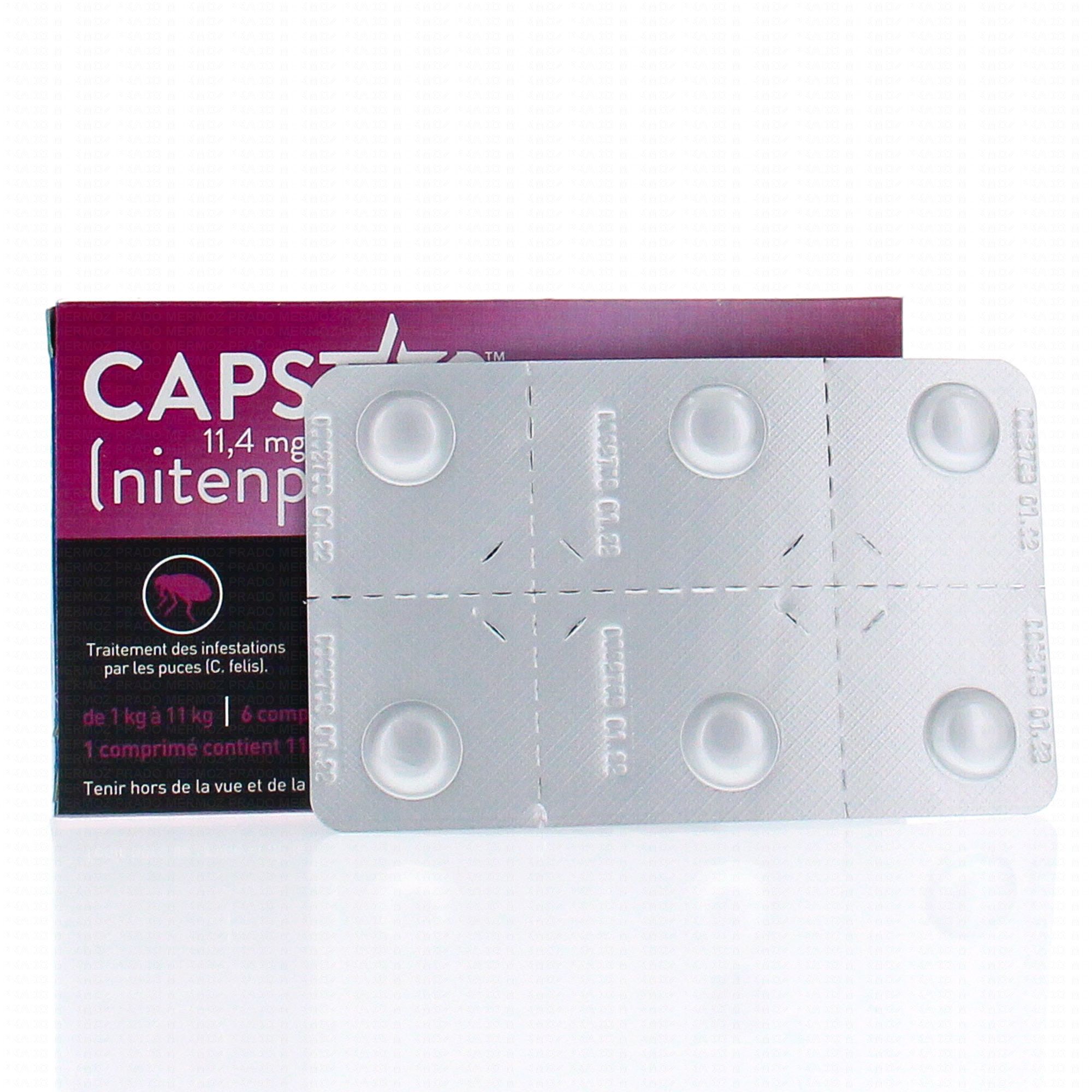 Capstar Chat 11,4mg - 6 comprimés - Pharmacie en ligne