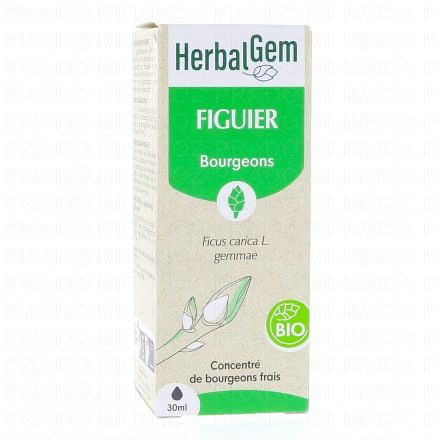 HERBALGEM Concentr&eacute; du bourgeons frais - Figuier bourgeons Bio 30ml