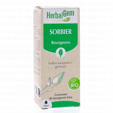 HERBALGEM Concentré du bourgeons frais - Sorbier bourgeons Bio 30ml