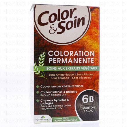 LES 3 CH&Ecirc;NES Color & soin n&deg;6B marron cacao