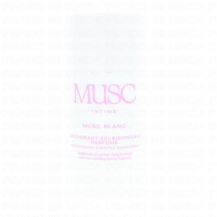 MUSC INTIME Déodorant Eclaircissant 50g