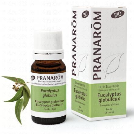 PRANAROM Huile essentielle Eucalyptus Globulus bio flacon 10ml