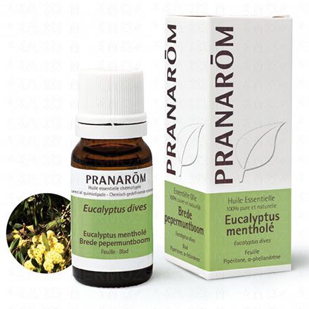 PRANAROM Huile essentielle Eucalyptus Menthol&eacute; flacon 10ml