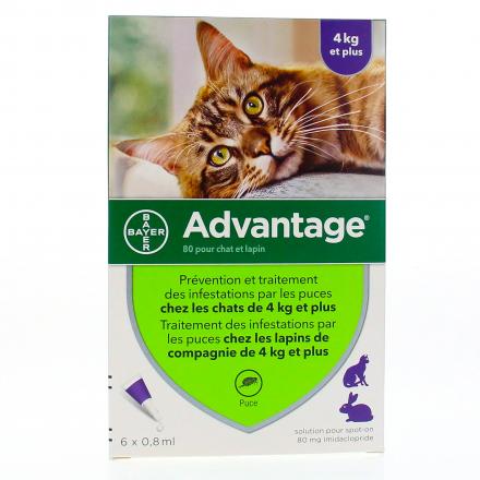 BAYER Advantage 80mg chat/lapin pipette 0.8ml x 6