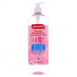 ASSANIS Pocket gel mains hydroalcoolique Rose 980ml