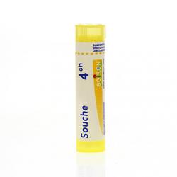 Nerf Parasympathique