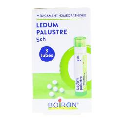 Ledum Palustre