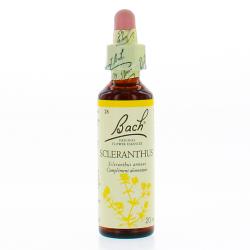 FLEURS DE BACH Original n°28 Scleranthus fleur de bach flacon compte-gouttes 20ml