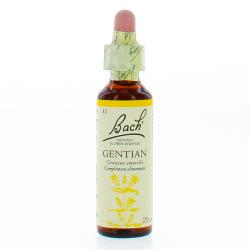 FLEUR DE BACH Original n°12 Gentian fleur de bach flacon 20ml