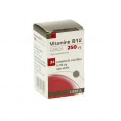 Vitamine b12 gerda 250 microgrammes flacon de 24 comprimés