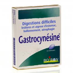 Gastrocynésine boîte de 60 comprimés