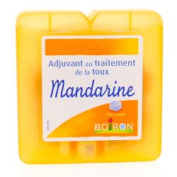 BOIRON Mandarine pâte à sucer boîte de 60g
