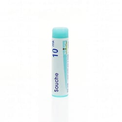 INFLUENZINUM 2024-2025 10MK Granules en unidose