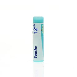 INFLUENZINUM 2024-2025 12CH Granules en unidose