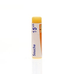 INFLUENZINUM 2024-2025 15CH Granules en unidose