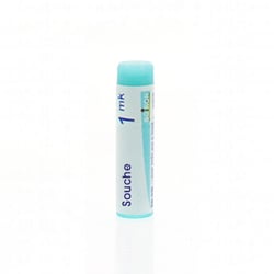 INFLUENZINUM 2024-2025 1MK Granules en unidose