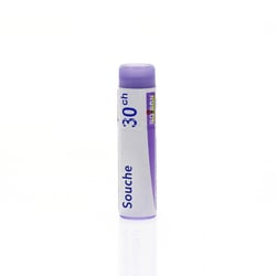 INFLUENZINUM 2024-2025 30CH Granules en unidose