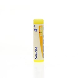 INFLUENZINUM 2024-2025 4CH Granules en unidose
