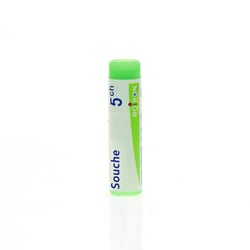 INFLUENZINUM 2024-2025 5CH Granules en unidose