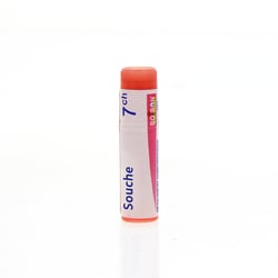 INFLUENZINUM 2024-2025 7CH Granules en unidose