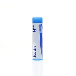 INFLUENZINUM 2024-2025 9CH Granules en unidose