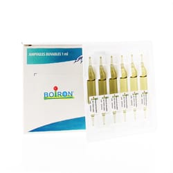 INFLUENZINUM 2024-2025 12CH Solution buvable en ampoules
