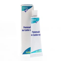 Articulation Du Genou